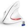 TECKNET Ergonomic Mouse Wireless Bluetooth Vertical Mouse 4800 DPI Optical Tracking 6 Adjustable DPI Quiet Clicks 24GHz with USB A Receiver 12 Months Battery 6 Buttons Wide Compatibility