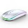 WREANU Wireless Bluetooth Mouse Rechargeable Laptop Mice with LED Lights Silent Slim UseBT52 and 24G Portable USB ReceiverDual Mode Computer Mouse for LaptopiPadTabletAppleComputerMacSilver
