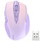 TECKNET Wireless Mouse 24G Ergonomic Optical Mouse Computer Mouse for Laptop PC Computer Chromebook Notebook 6 Buttons 24 Months Battery Life 2600 DPI 5 Adjustment Levels Gradient Lavender