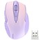TECKNET Wireless Mouse 24G Ergonomic Optical Mouse Computer Mouse for Laptop PC Computer Chromebook Notebook 6 Buttons 24 Months Battery Life 2600 DPI 5 Adjustment Levels Gradient Lavender