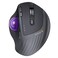 ProtoArc Wireless Trackball Mouse EM01 NL Ergonomic Bluetooth Rollerball Thumb Rechargeable Computer Laptop Mouse Adjustable Angle 3 Device Connection for PC Mac WindowsPurple Ball