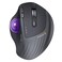 ProtoArc Wireless Trackball Mouse EM01 NL Ergonomic Bluetooth Rollerball Thumb Rechargeable Computer Laptop Mouse Adjustable Angle 3 Device Connection for PC Mac WindowsPurple Ball