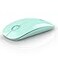 RAPIQUE R306 Wireless Mouse Green Bluetooth USB 480 hours battery life 1600 DPI Compatible with Windows MacOS Chromebook Surface Pro Laptops PCs and Computers