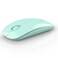 RAPIQUE R306 Wireless Mouse Green Bluetooth USB 480 hours battery life 1600 DPI Compatible with Windows MacOS Chromebook Surface Pro Laptops PCs and Computers