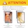 WAYIFON Hybrid Slim Case for Samsung Galaxy Tab S10 Plus 2024 S9 FE Plus 5G 124 Inch 2023 with S Pen Holder Shockproof Cover with Clear Transparent Back Shell