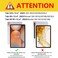 WAYIFON Hybrid Slim Case for Samsung Galaxy Tab S10 Plus 2024 S9 FE Plus 5G 124 Inch 2023 with S Pen Holder Shockproof Cover with Clear Transparent Back Shell