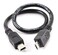 CABLESONLINE.COM ATLANTIC CablesOnline 8inch USB 20 OTG MicroB 5Pin Male to USB MiniB 5Pin Male Adapter Cable for Tablet GPS PDA ADU38O
