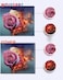 WOLFGRAY TONER Wolfgray 8PK LC61BK Ink Cartridges Replacement for Brother LC61 LC65 LC61BK to use with MFC290C MFC295CN MFCJ410W MFCJ415W 8 Black