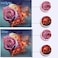 WOLFGRAY TONER Wolfgray Compatible LC61 LC65 Ink Cartridges 12 Pack Replacement for Brother LC61 LC65 LC61BK LC61C LC61M LC61Y for MFC490CW MFC495CW MFCJ615W MFCJ630W Printer 3BK3C3M3Y
