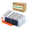 GREENARK CLI251 251 Compatible Ink Cartridge for Canon CLI251 GY Gray CLI251GY XL Grey Ink Cartridges Work for Canon PIXMA mg7120 MX922 IX6820 IP8720 Canon mx922 MG6620 Printers 4 Pack 251XL GY
