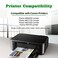 GREENARK CLI251 251 Compatible Ink Cartridge for Canon CLI251 GY Gray CLI251GY XL Grey Ink Cartridges Work for Canon PIXMA mg7120 MX922 IX6820 IP8720 Canon mx922 MG6620 Printers 4 Pack 251XL GY