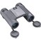 Bushnell 10x25 Black Roof Prism FMC WPFP Twistup Eyecups Box 6L