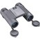 Bushnell 10x25 Black Roof Prism FMC WPFP Twistup Eyecups Box 6L