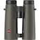 Leica Noctivid 8x42 Green Binocular 40386