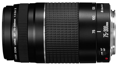 canon Canon Ef 75- f4-5 6 Iii