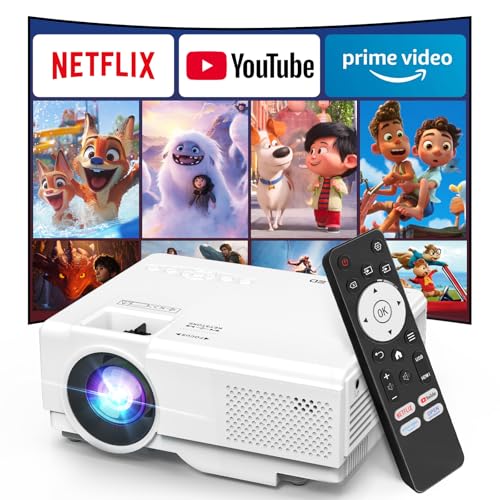 Nisoo Nisoo Netflix Include Projector