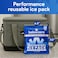 Below Zero Prefilled Reusable Ice Packs for Coolers Long Lasting Freezer Ice Blocks for Camping Lunch Bags More 48 Hour Cooler Ice Pack Technology Small 75x65 2Pack