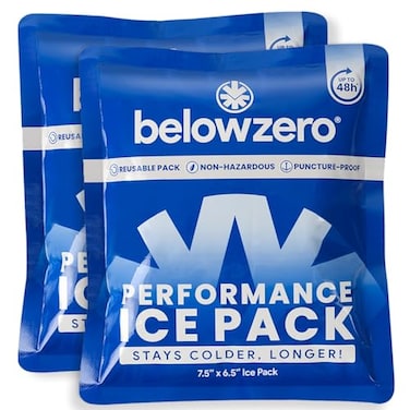 Below Zero Prefilled Reusable Ice Packs for Coolers Long Lasting Freezer Ice Blocks for Camping Lunch Bags More 48 Hour Cooler Ice Pack Technology Small 75x65 2Pack