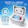 Everlasting Ice Large Reusable Ice Packs for Cooler with Handle 4 Pack Long Lasting Coolness BPA Free Freezer Packs for Extended Cooling Cooler Ice Packs for Camping Fishing Hiking Beach