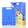 REV. LANG REV LANG Large Freezer Cold Ice Pack Block Ice Chest Reusable Long Lasting Quick Freezes with A Handle for Coolers Lunch BoxBag1000g Set of 2