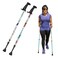 Urban Poling ACTIVATOR MODA with Snow Trekking Baskets Silver with Blue Green Yellow 1 Pair For Users 426 Lightweight Aluminum Nordic Walking Sticks Collapsible Adjustable Hiking
