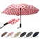 Nollia Compact Travel Umbrella with Auto Open Windproof Folding Umbrella Lightweight Portable for Rain
