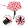 Nollia Compact Travel Umbrella with Auto Open Windproof Folding Umbrella Lightweight Portable for Rain