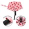 Nollia Compact Travel Umbrella with Auto Open Windproof Folding Umbrella Lightweight Portable for Rain
