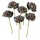ARTIFIPLANT Brown Hydrangea Artificial Flowers6 Pcs Faux Hydrangea FlowersArtificial Hydrangeas Flowers with StemsFake HydrangeasSilk Hydrangeas Flowers with Stems for Home Decor 6 Coffee