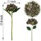 ARTIFIPLANT Brown Hydrangea Artificial Flowers6 Pcs Faux Hydrangea FlowersArtificial Hydrangeas Flowers with StemsFake HydrangeasSilk Hydrangeas Flowers with Stems for Home Decor 6 Coffee