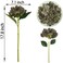 ARTIFIPLANT Brown Hydrangea Artificial Flowers6 Pcs Faux Hydrangea FlowersArtificial Hydrangeas Flowers with StemsFake HydrangeasSilk Hydrangeas Flowers with Stems for Home Decor 6 Coffee