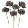 ARTIFIPLANT Brown Hydrangea Artificial Flowers6 Pcs Faux Hydrangea FlowersArtificial Hydrangeas Flowers with StemsFake HydrangeasSilk Hydrangeas Flowers with Stems for Home Decor 6 Coffee
