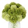 Louiesya 20pcs Artificial Flowers Silk Chrysanthemum Ball Hydrangea Bridal Wedding Bouquet for Home Garden Party Decor Dark Green Light Green