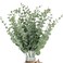 LYRWI 20pcs Eucalyptus Stems Artificial Eucalyptus Leaves Stems Artificial Fake Flowers for Home Office Flowers Bouquet Centerpiece Wedding Decoration Christmas Decor 2026