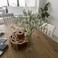 LYRWI 6Pcs 21 SecureStem Realistic Artificial White Babys Breath Gypsophila Flowers with NoShedding Design Perfect for Wedding Centerpieces Home Decor Vase Fillers