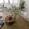 LYRWI 6Pcs 21 SecureStem Realistic Artificial White Babys Breath Gypsophila Flowers with NoShedding Design Perfect for Wedding Centerpieces Home Decor Vase Fillers