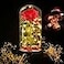 Deluxsa Enchanted Red Silk RoseBeauty and the Beast Rose with Fallen Petals in A Light DomeHomeOffice or Home Decorations Anniversary Valentines Day Christmas Gift