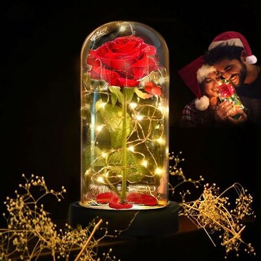 Deluxsa Enchanted Red Silk RoseBeauty and the Beast Rose with Fallen Petals in A Light DomeHomeOffice or Home Decorations Anniversary Valentines Day Christmas Gift