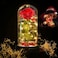 Deluxsa Enchanted Red Silk RoseBeauty and the Beast Rose with Fallen Petals in A Light DomeHomeOffice or Home Decorations Anniversary Valentines Day Christmas Gift