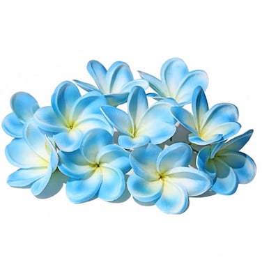 Xilyya 10PCS Natural Real Touch Artificial Not Silk Plumeria Flowers Head with Stem for DIY Cake Decoration and Wedding Bouquets Blue