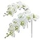 Fnize Faux Orchid Stems Real Touch Artificial Phalaenopsis Flowers Latex Petals 38 Inches 2pcs Green White