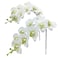 Fnize Faux Orchid Stems Real Touch Artificial Phalaenopsis Flowers Latex Petals 38 Inches 2pcs Green White