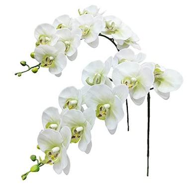 Fnize Faux Orchid Stems Real Touch Artificial Phalaenopsis Flowers Latex Petals 38 Inches 2pcs Green White