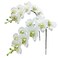 Fnize Faux Orchid Stems Real Touch Artificial Phalaenopsis Flowers Latex Petals 38 Inches 2pcs Green White