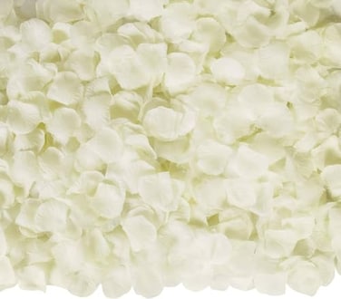 Ouddy Decor 3000 Pcs Rose Petals Artificial Flowers for Valentines Wedding Decor Romantic Night Bridal Party Home Mothers Day Decorations Ivory