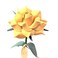 Camellia Bees Leather Rose Gift for herhim on Valentines Day Mothers Day Third Years Wedding Anniversary Yellow