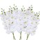 OUKEYI 27 Artificial Phalaenopsis Flowers 6 Pcs White Perhaps Faint Yellow Artificial Orchid Flowers Stem Plants for Home Dcor