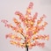 Sunm Boutique 3 PCS Silk Cherry Blossom Branches Lighted Brown Twig Branches Artificial White Flower Stems 39 Faux Tree for Wedding Home Decor