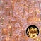 Sunm Boutique Cherry Blossom Garland 6Pack 354 Ft Cherry Blossom Hanging Vine with 328 Ft Long 80 LED String Lights Silk Sakura Vines Garland for Wedding Party Decor Pink