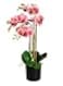 Serene Spaces Living 3 Pink Realistic Phalaenopsis Orchids in Black Plastic Pot Artificial Potted Flowers Beautiful Entryway Vase Foyer Table Dcor Great Gift Measures 5 Diameter 26 Tall